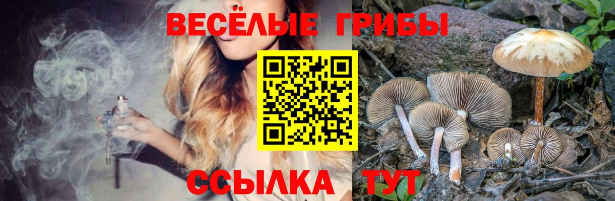 цены наркотик  Фролово  Псилоцибиновые грибы мицелий 
