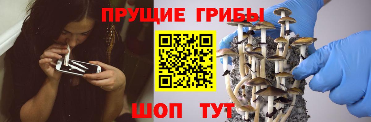 Галлюциногенные грибы мицелий  Вход с VPN  купить наркотик  Фролово 